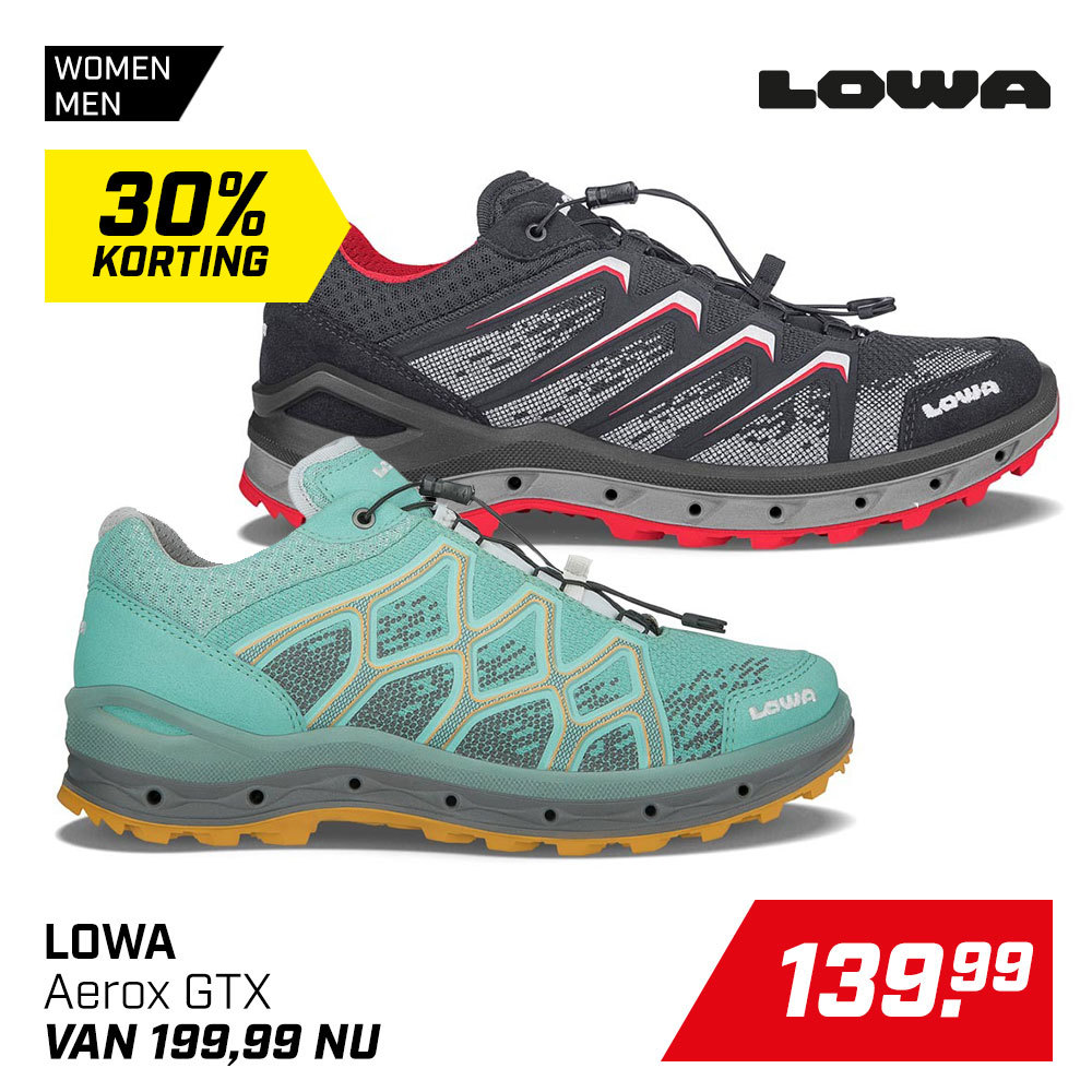 Lowa Aerox GTX