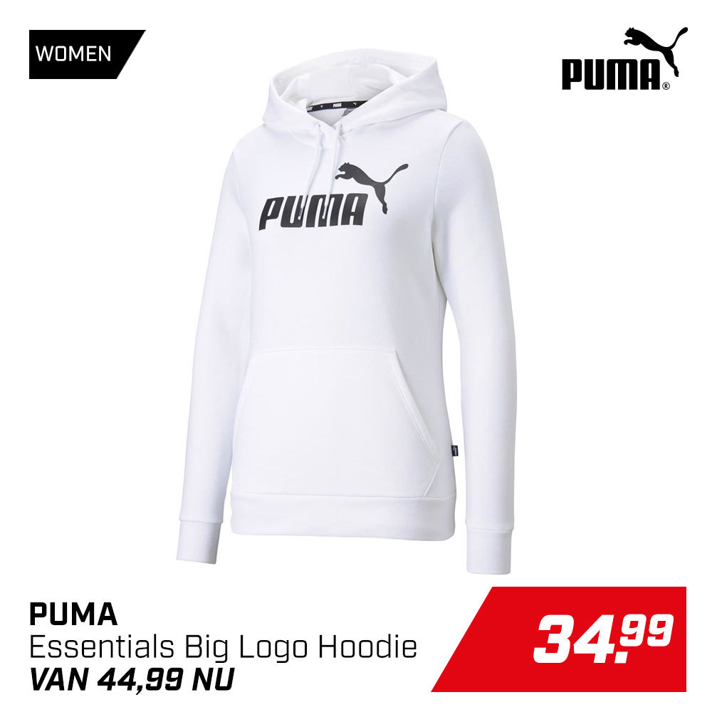Essentials Big Logo Hoodie