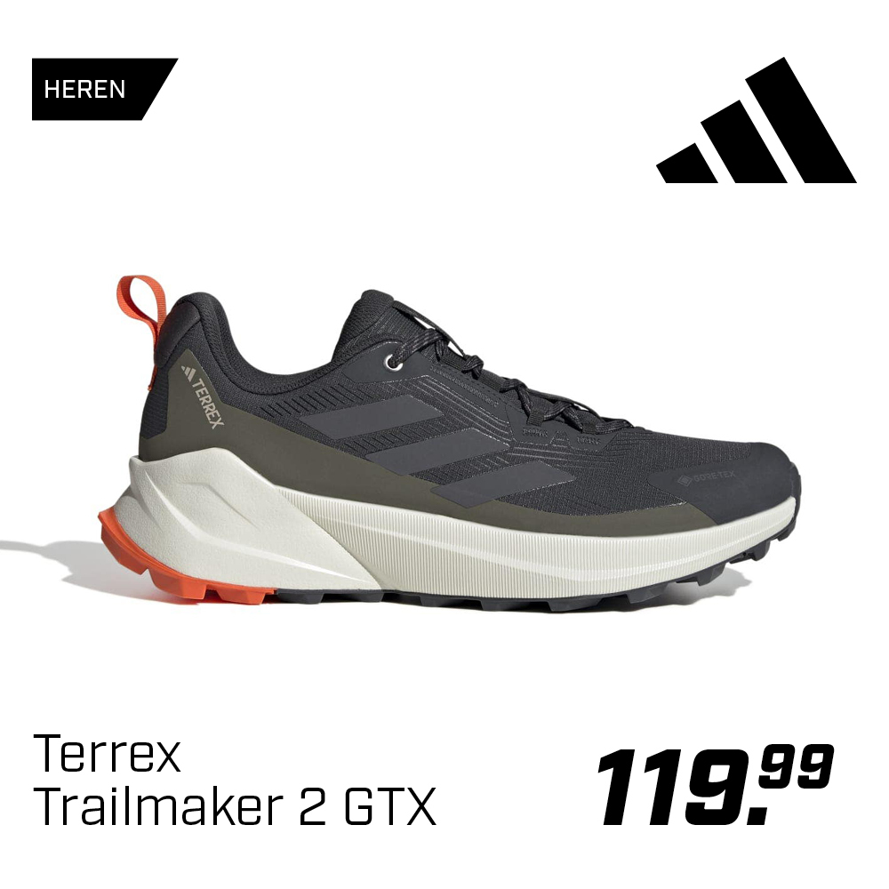 Shop Adidas Terrex Trailmaker 2 GTX