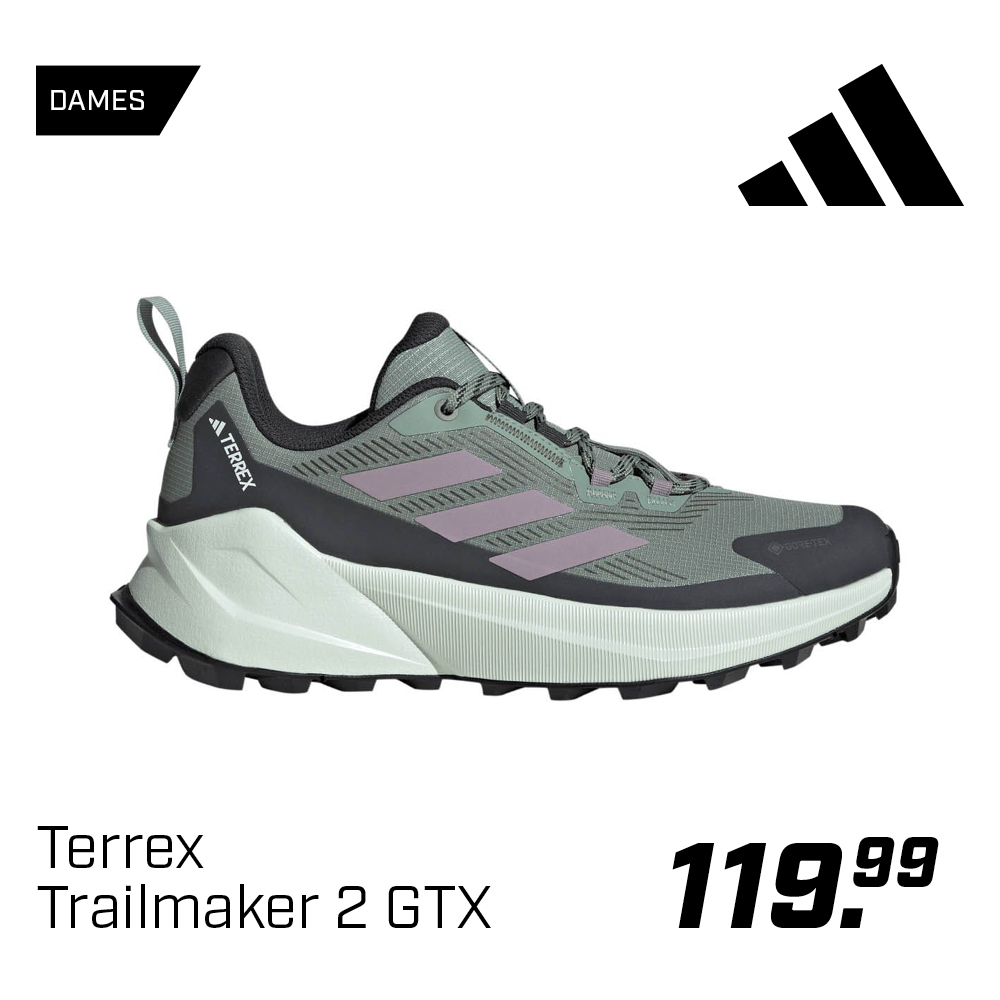 Shop Adidas Terrex Trailmaker 2 Gore-Tex