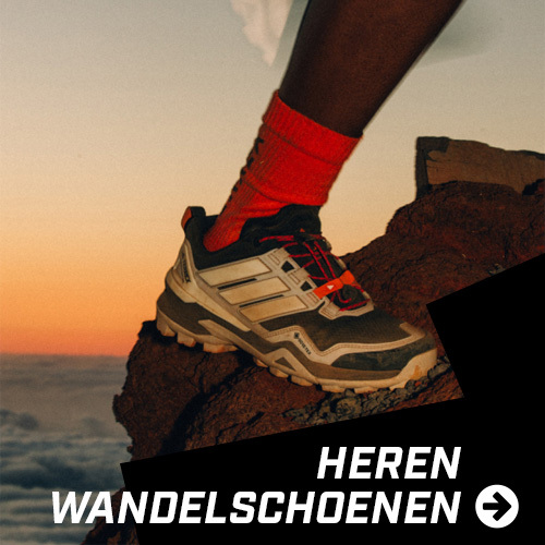 Shop berg- en wandelschoenen voor heren